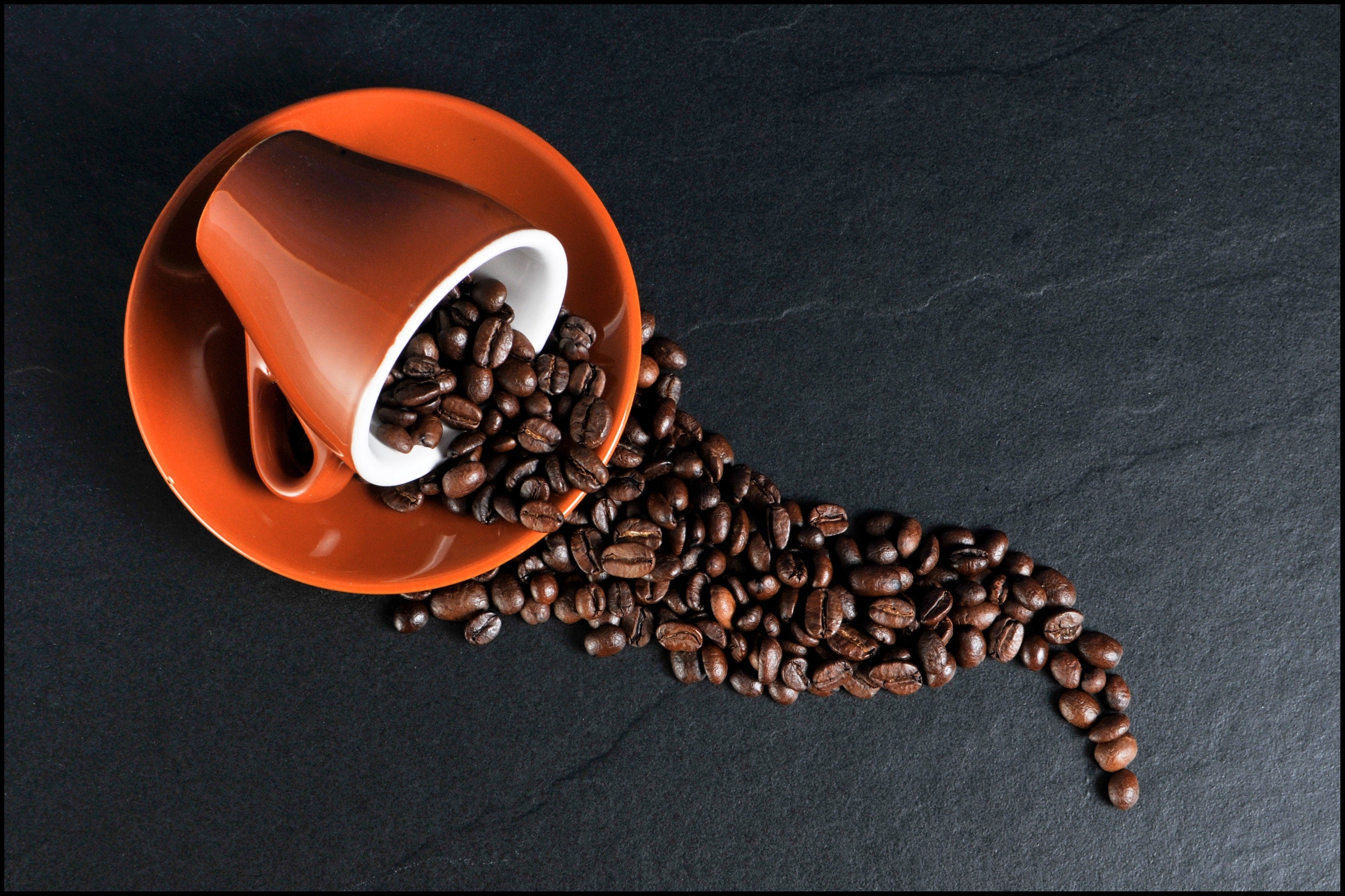 10 oz classic coffee mug decorated with coffee beans