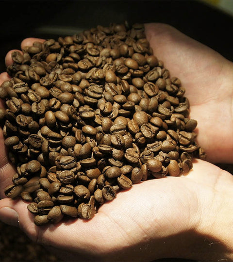 Storing Coffee Beans